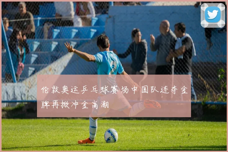 伦敦奥运乒乓球赛场中国队连夺金牌再掀冲金高潮