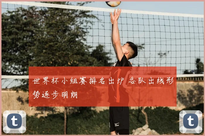 世界杯小组赛排名出炉 各队出线形势逐步明朗