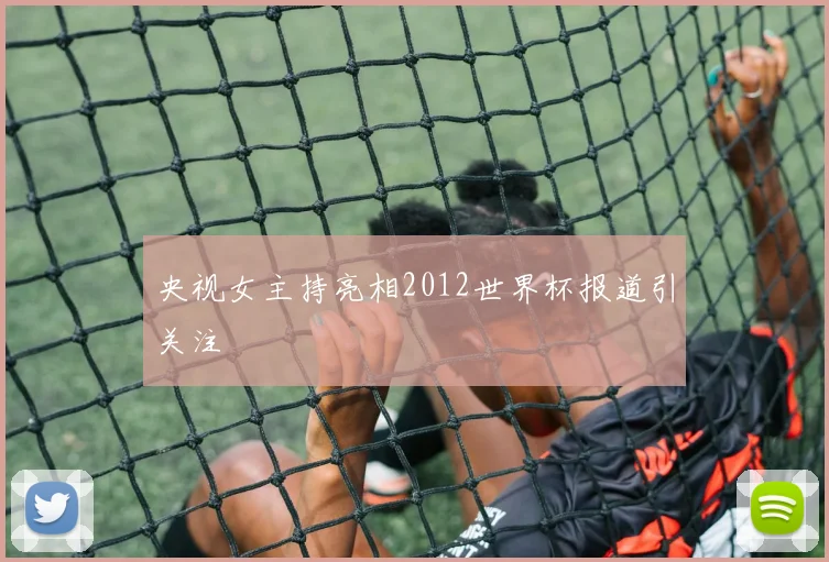 央视女主持亮相2012世界杯报道引关注