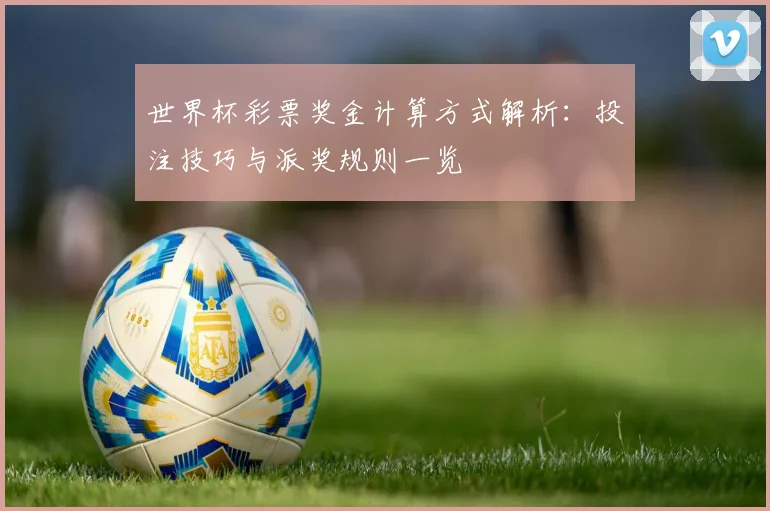 世界杯彩票奖金计算方式解析：投注技巧与派奖规则一览